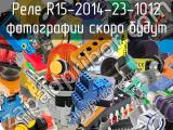 Реле R15-2014-23-1012