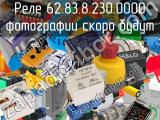 Реле 62.83.8.230.0000 