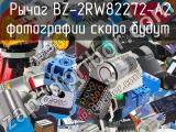 рычаг BZ-2RW82272-A2 