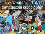 Выключатель FM 501 
