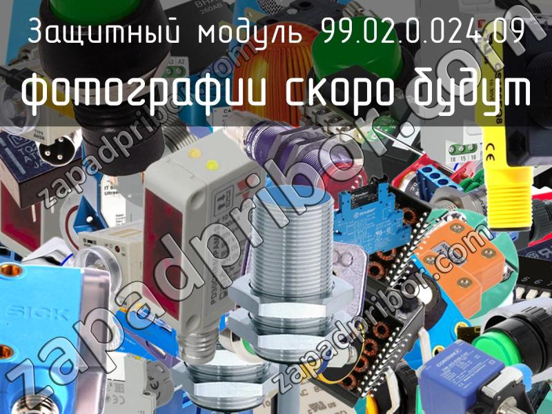 Защитный модуль 99.02.0.024.09 фотография.