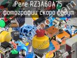 Реле RZ3A60A75 