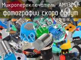 Микропереключатель AM1305F