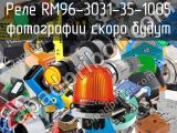 Реле RM96-3031-35-1005 