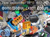 Реле герконовое DIP12-1B72-19D