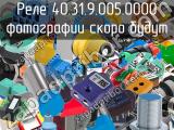 Реле 40.31.9.005.0000