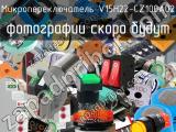 Микропереключатель V15H22-CZ100A02