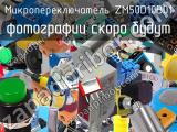 Микропереключатель ZM50D10B01