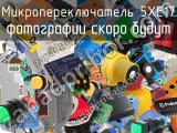 Микропереключатель 5XE17