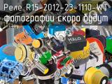 Реле R15-2012-23-1110-WT 