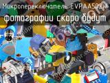 Микропереключатель EVPAA502W 