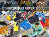 Клавиша TACT-2BSWH 
