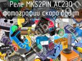 Реле MKS2PIN AC230 