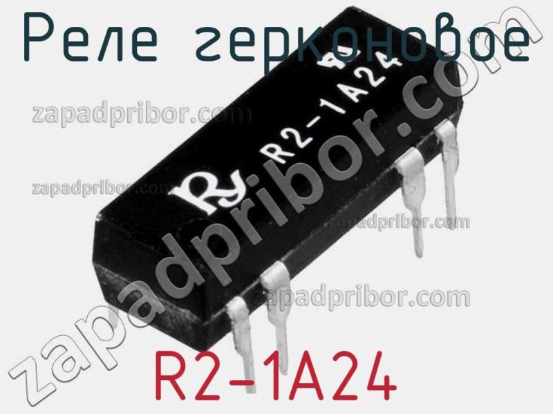 Реле герконовое R2-1A24 фотография.