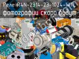 Реле R4N-2314-23-1024-WTL 