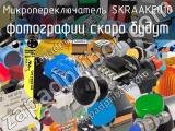 Микропереключатель SKRAAKE010