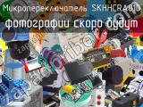 Микропереключатель SKHHCRA010