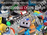 Микропереключатель SKRPABE010 