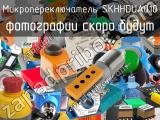 Микропереключатель SKHHDUA010 