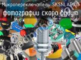 Микропереключатель SKSNLAE010