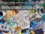 Микропереключатель SKQGAFE010 