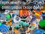 Переключатель SP-12SH-S 