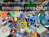 Микропереключатель SKQGACE010 