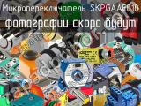 Микропереключатель SKPGAAE010