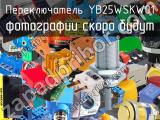 Переключатель YB25WSKW01 