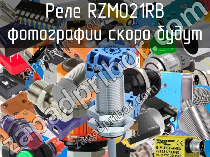 Реле RZM021RB фотография.