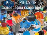 Кнопка PB-05-7R-G 