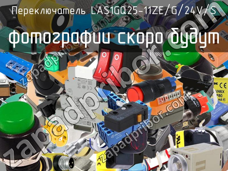 Переключатель LAS1GQ25-11ZE/G/24V/S фотография.