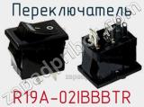 Переключатель R19A-02IBBBTR фотография 2.