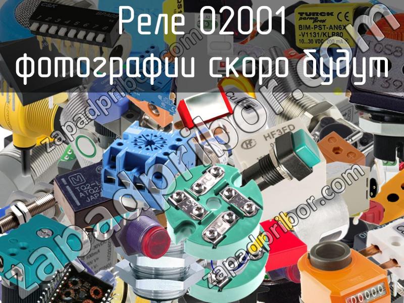 Реле 02001 фотография.