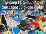 Тумблер MTS-103-A2-R 