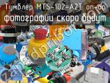 Тумблер MTS-102-A2T on-on 