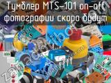 Тумблер MTS-101 on-off