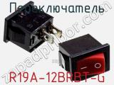 Переключатель R19A-12BRBT-G фотография 3.