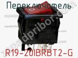 Переключатель R19-20IBRBT2-G фотография 2.