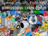 Тумблер 2M1-SP3-T1-B1-M1QE 