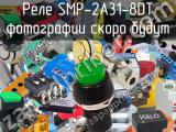 Реле SMP-2A31-8DT 