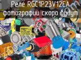 Реле RGC1P23V12EA 