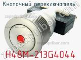 Кнопочный переключатель  H48M-213G4044 