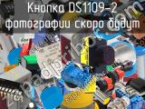 Кнопка DS1109-2 