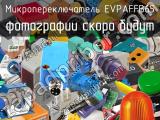 Микропереключатель EVPAFFB65