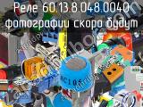 Реле 60.13.8.048.0040 