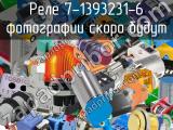 Реле 7-1393231-6