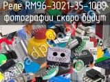 Реле RM96-3021-35-1009 