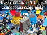 Выключатель EFM-L-3-32