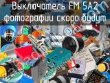 Выключатель FM 5A2 